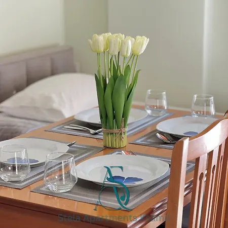 Πανσιόν Stela